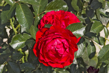 Similar image 6446950