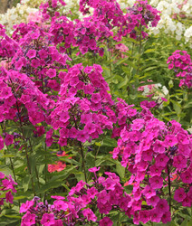 Similar image 6446951