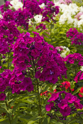 Similar image 6446953