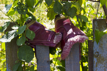 Similar image 6446963