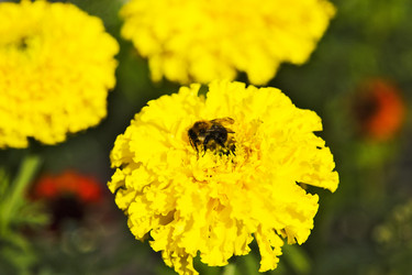 Similar image 6446964