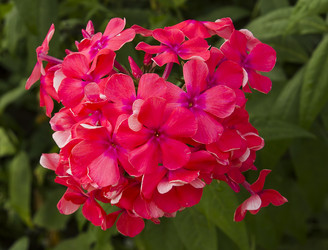 Similar image 6446965