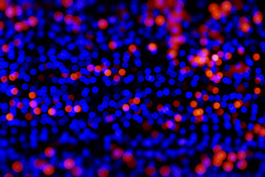 Similar image 6446987