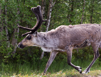 Similar image 6447039