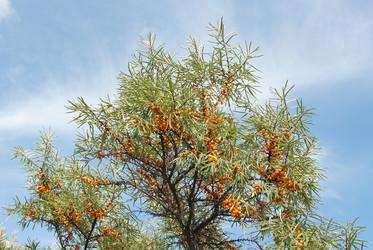 Similar image 6447074