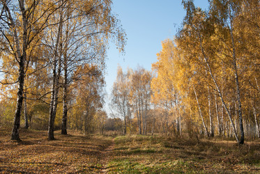 Similar image 6447289