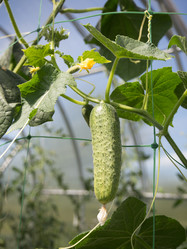 Similar image 6447290