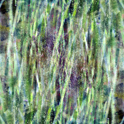 Similar image 6447469