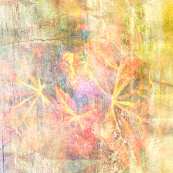 Similar image 6447481