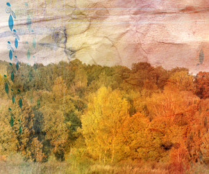 Similar image 6447499