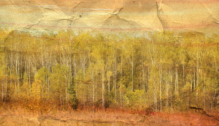 Similar image 6447563