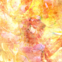 Similar image 6447649