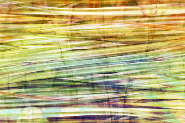 Similar image 6447781