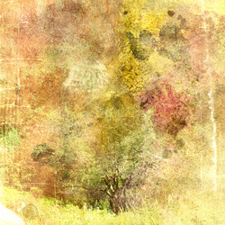 Similar image 6447782