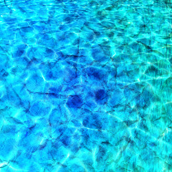 Similar image 6448011