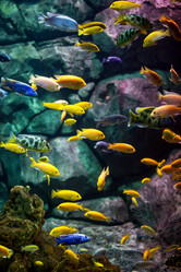 Similar image 6448086