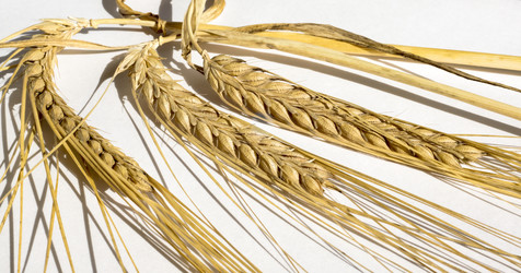 Similar image 6448158