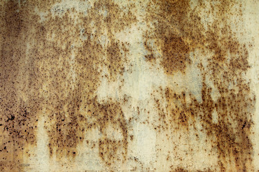 Similar image 6448211