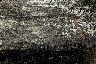 Similar image 6448226