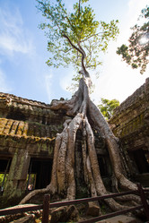 Similar image 6448391