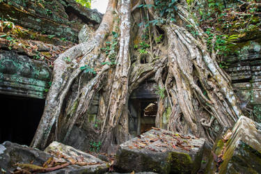 Similar image 6448392