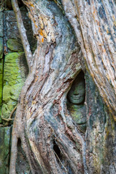 Similar image 6448393