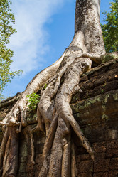 Similar image 6448397