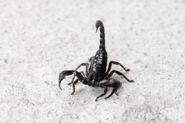 Similar image 6448443