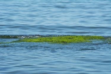 Similar image 6448474