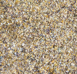 Similar image 6448509