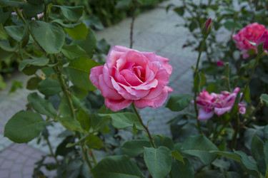 Similar image 6448534