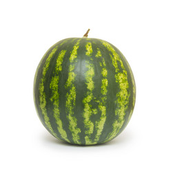 Similar image 6448539