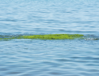 Similar image 6448579