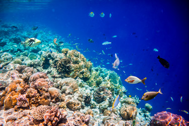 Similar image 6448745