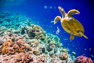 Similar image 6448747