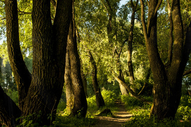 Similar image 6448818