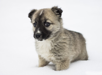 Similar image 6448832