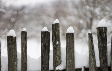 Similar image 6448836