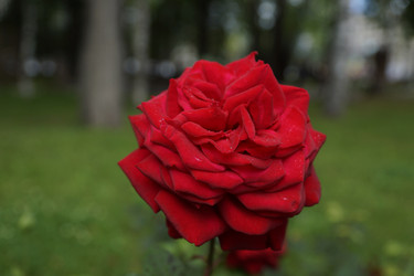 Similar image 6448839