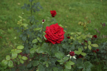 Similar image 6448840