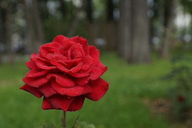 Similar image 6448841