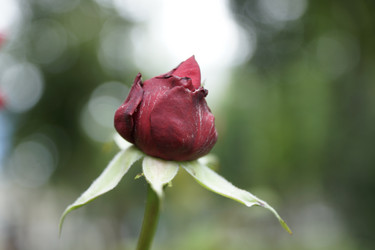 Similar image 6448843