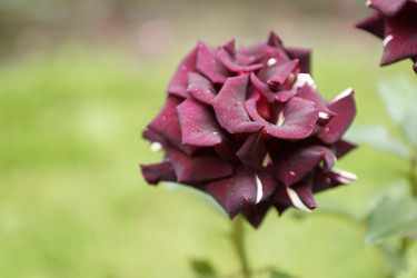 Similar image 6448844