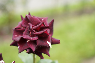 Similar image 6448845