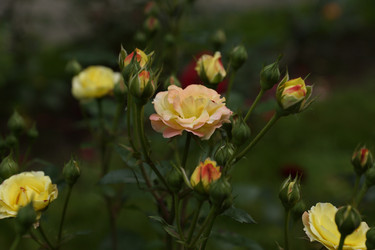 Similar image 6448846