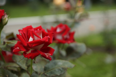 Similar image 6448847