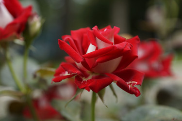 Similar image 6448848