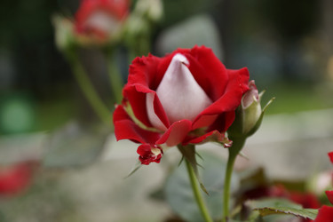 Similar image 6448849