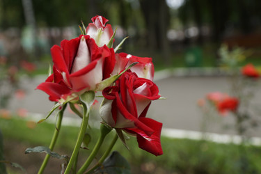 Similar image 6448851