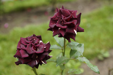 Similar image 6448852